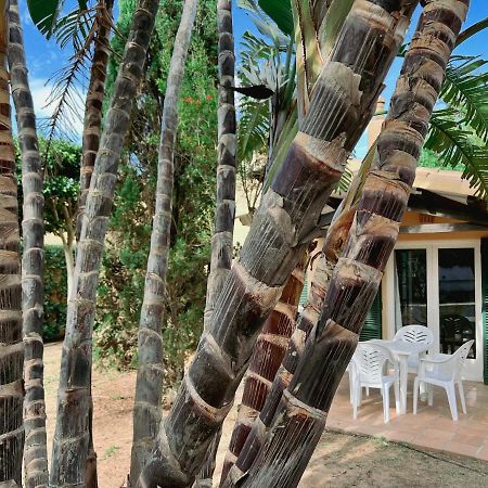 Appartement Bungalow Tropical Nº6 - Son Xoriguer Extérieur photo